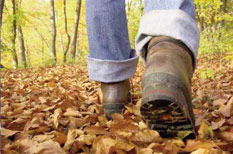 Wandern im Sauerland